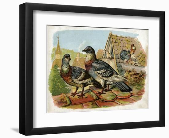 Art Print, , large