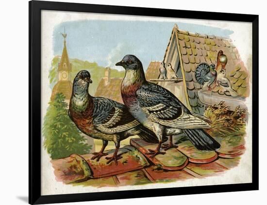 Art Print, , large