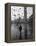 Pigeons Flocking Above Pedestrians Crossing Piazza San Marco on a Rainy Venice Day-Dmitri Kessel-Framed Premier Image Canvas