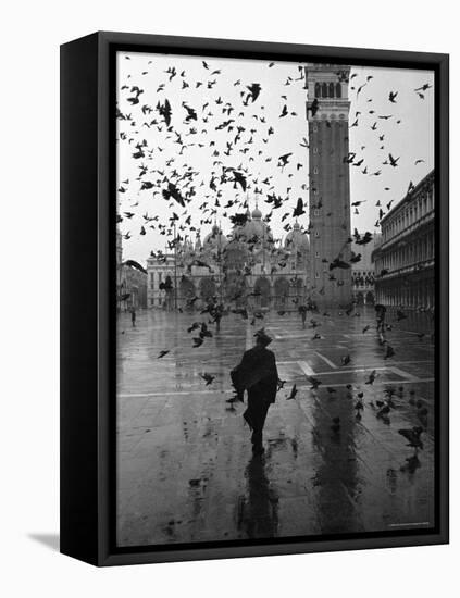 Pigeons Flocking Above Pedestrians Crossing Piazza San Marco on a Rainy Venice Day-Dmitri Kessel-Framed Premier Image Canvas