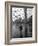 Pigeons Flocking Above Pedestrians Crossing Piazza San Marco on a Rainy Venice Day-Dmitri Kessel-Framed Photographic Print