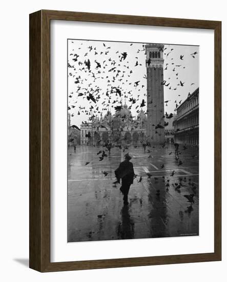 Pigeons Flocking Above Pedestrians Crossing Piazza San Marco on a Rainy Venice Day-Dmitri Kessel-Framed Photographic Print