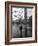 Pigeons Flocking Above Pedestrians Crossing Piazza San Marco on a Rainy Venice Day-Dmitri Kessel-Framed Photographic Print