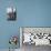 Pigeons Flocking Above Pedestrians Crossing Piazza San Marco on a Rainy Venice Day-Dmitri Kessel-Mounted Photographic Print displayed on a wall