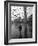 Pigeons Flocking Above Pedestrians Crossing Piazza San Marco on a Rainy Venice Day-Dmitri Kessel-Framed Photographic Print