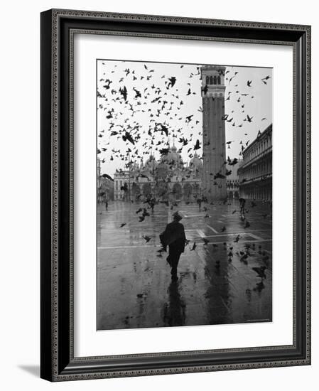 Pigeons Flocking Above Pedestrians Crossing Piazza San Marco on a Rainy Venice Day-Dmitri Kessel-Framed Photographic Print