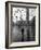 Pigeons Flocking Above Pedestrians Crossing Piazza San Marco on a Rainy Venice Day-Dmitri Kessel-Framed Photographic Print