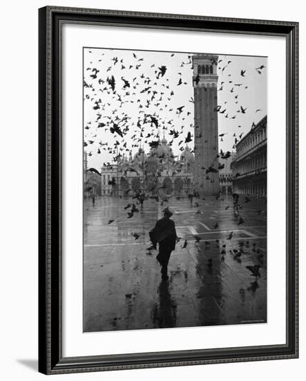 Pigeons Flocking Above Pedestrians Crossing Piazza San Marco on a Rainy Venice Day-Dmitri Kessel-Framed Photographic Print