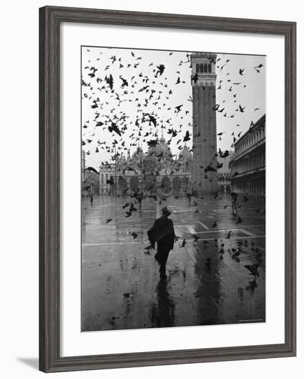 Pigeons Flocking Above Pedestrians Crossing Piazza San Marco on a Rainy Venice Day-Dmitri Kessel-Framed Photographic Print