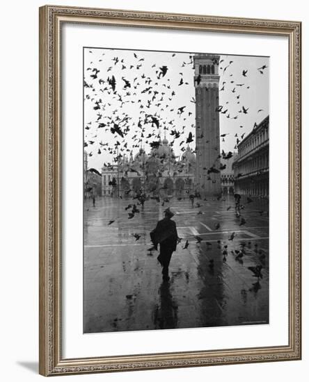 Pigeons Flocking Above Pedestrians Crossing Piazza San Marco on a Rainy Venice Day-Dmitri Kessel-Framed Photographic Print