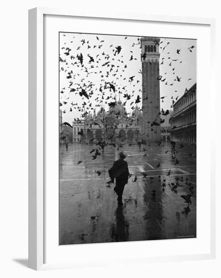 Pigeons Flocking Above Pedestrians Crossing Piazza San Marco on a Rainy Venice Day-Dmitri Kessel-Framed Photographic Print