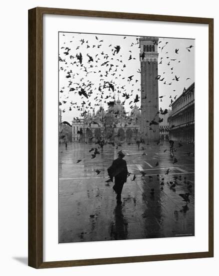 Pigeons Flocking Above Pedestrians Crossing Piazza San Marco on a Rainy Venice Day-Dmitri Kessel-Framed Photographic Print