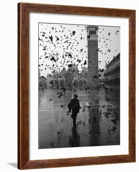 Pigeons Flocking Above Pedestrians Crossing Piazza San Marco on a Rainy Venice Day-Dmitri Kessel-Framed Photographic Print