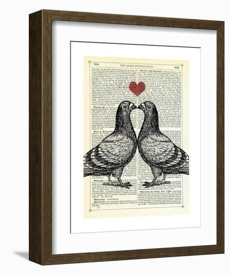 Pigeons in Love-Marion Mcconaghie-Framed Art Print