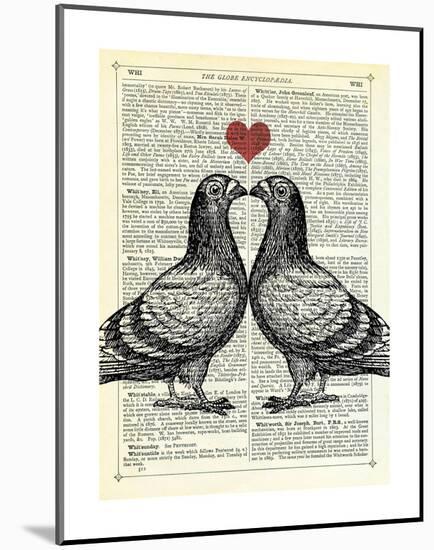 Pigeons in Love-Marion Mcconaghie-Mounted Art Print