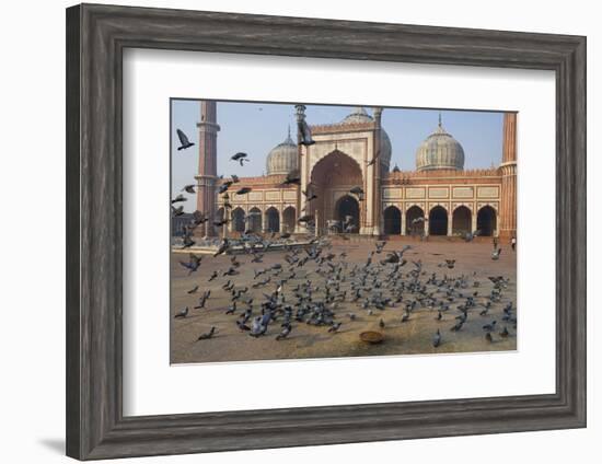 Pigeons in Mosque, Jama Masjid Mosque, Delhi, India-Peter Adams-Framed Photographic Print