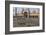 Pigeons in Mosque, Jama Masjid Mosque, Delhi, India-Peter Adams-Framed Photographic Print