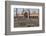 Pigeons in Mosque, Jama Masjid Mosque, Delhi, India-Peter Adams-Framed Photographic Print