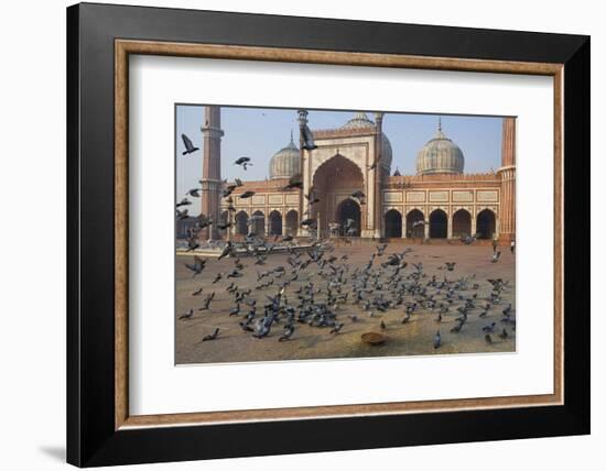 Pigeons in Mosque, Jama Masjid Mosque, Delhi, India-Peter Adams-Framed Photographic Print