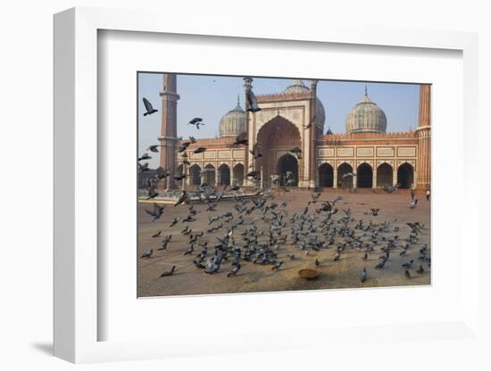 Pigeons in Mosque, Jama Masjid Mosque, Delhi, India-Peter Adams-Framed Photographic Print