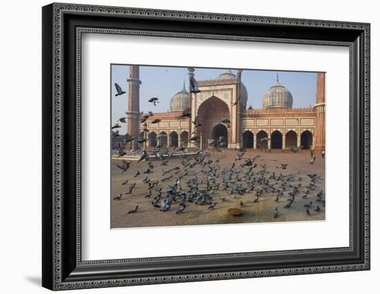 Pigeons in Mosque, Jama Masjid Mosque, Delhi, India-Peter Adams-Framed Photographic Print