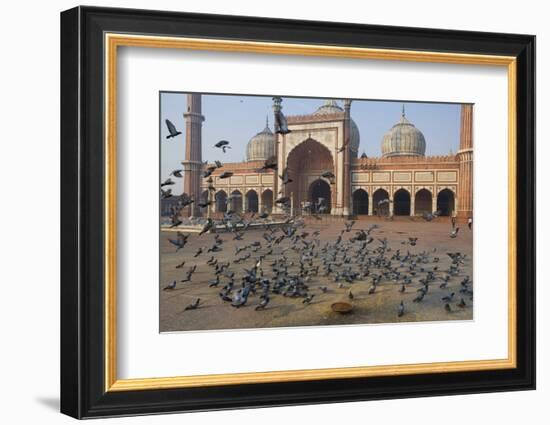 Pigeons in Mosque, Jama Masjid Mosque, Delhi, India-Peter Adams-Framed Photographic Print