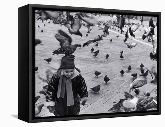 Pigeons in Piazza San Marco, Venice, Veneto, Italy-Walter Bibikow-Framed Premier Image Canvas