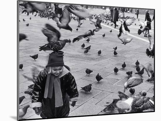 Pigeons in Piazza San Marco, Venice, Veneto, Italy-Walter Bibikow-Mounted Photographic Print