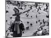Pigeons in Piazza San Marco, Venice, Veneto, Italy-Walter Bibikow-Mounted Photographic Print