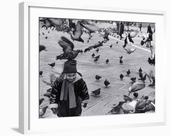 Pigeons in Piazza San Marco, Venice, Veneto, Italy-Walter Bibikow-Framed Photographic Print