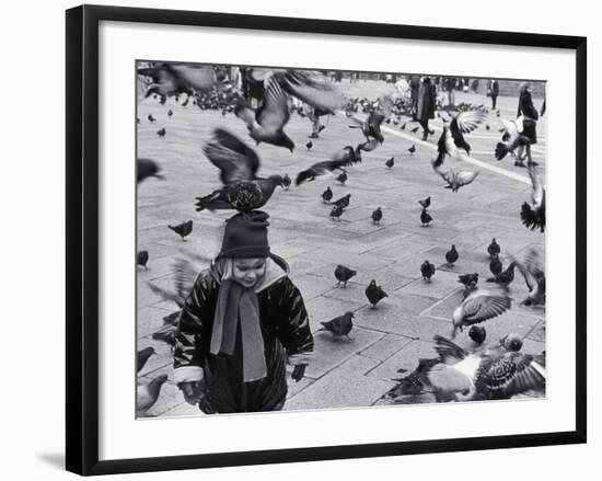 Pigeons in Piazza San Marco, Venice, Veneto, Italy-Walter Bibikow-Framed Photographic Print