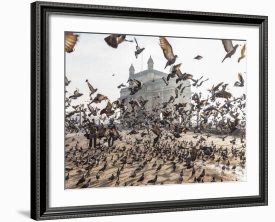 Pigeons, India Gate, Colaba, Mumbai (Bombay), India-Peter Adams-Framed Photographic Print