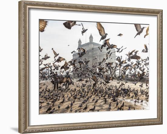 Pigeons, India Gate, Colaba, Mumbai (Bombay), India-Peter Adams-Framed Photographic Print