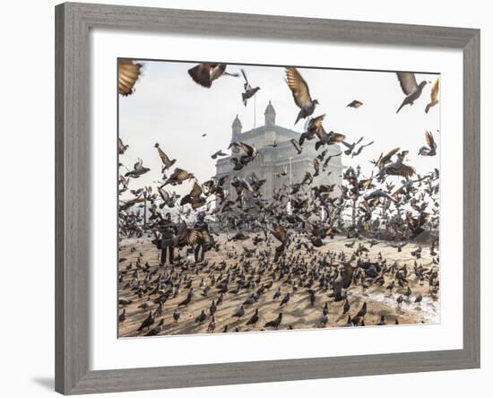 Pigeons, India Gate, Colaba, Mumbai (Bombay), India-Peter Adams-Framed Photographic Print