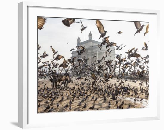 Pigeons, India Gate, Colaba, Mumbai (Bombay), India-Peter Adams-Framed Photographic Print