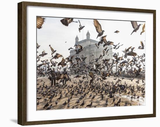 Pigeons, India Gate, Colaba, Mumbai (Bombay), India-Peter Adams-Framed Photographic Print