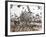 Pigeons, India Gate, Colaba, Mumbai (Bombay), India-Peter Adams-Framed Photographic Print