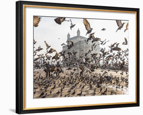 Pigeons, India Gate, Colaba, Mumbai (Bombay), India-Peter Adams-Framed Photographic Print