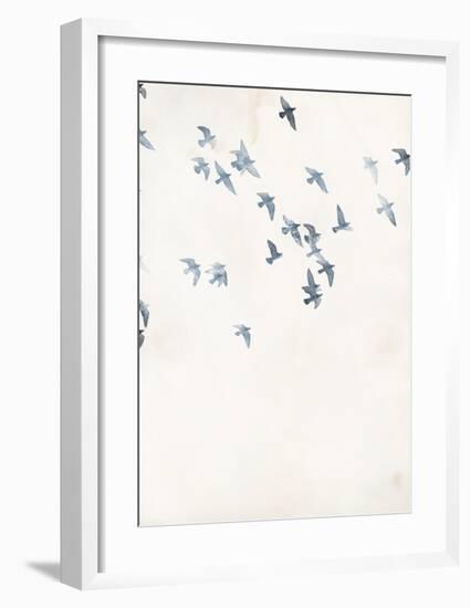 Pigeons Sky-Design Fabrikken-Framed Art Print