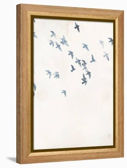 Pigeons Sky-Design Fabrikken-Framed Stretched Canvas