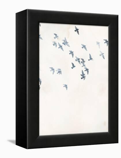 Pigeons Sky-Design Fabrikken-Framed Stretched Canvas