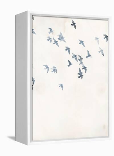 Pigeons Sky-Design Fabrikken-Framed Stretched Canvas