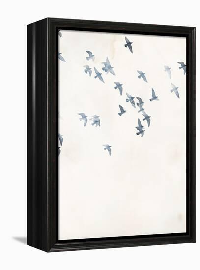 Pigeons Sky-Design Fabrikken-Framed Stretched Canvas