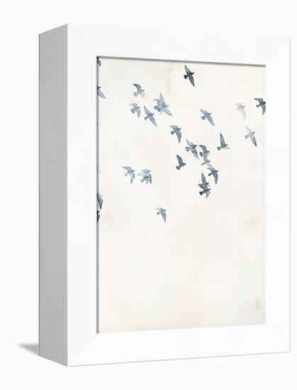 Pigeons Sky-Design Fabrikken-Framed Stretched Canvas