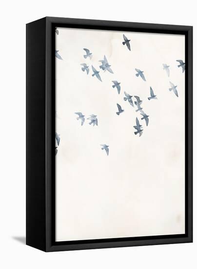 Pigeons Sky-Design Fabrikken-Framed Stretched Canvas