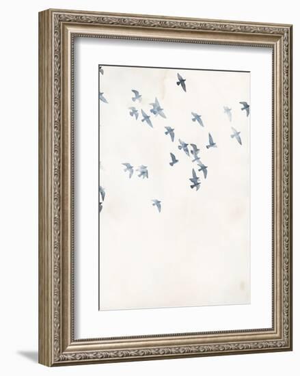 Pigeons Sky-Design Fabrikken-Framed Art Print