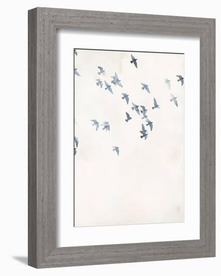 Pigeons Sky-Design Fabrikken-Framed Art Print