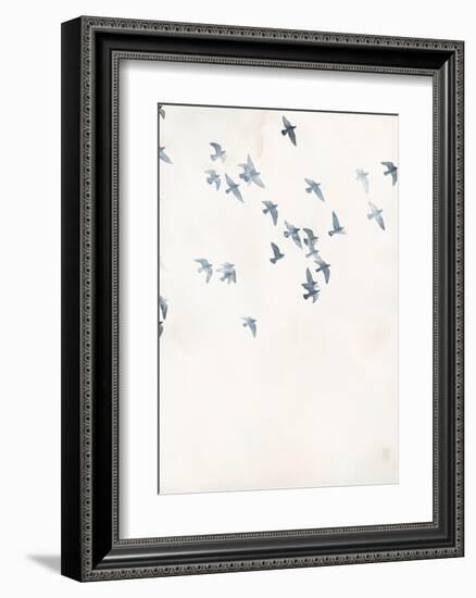 Pigeons Sky-Design Fabrikken-Framed Art Print