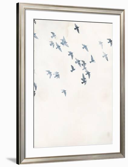 Pigeons Sky-Design Fabrikken-Framed Premium Giclee Print