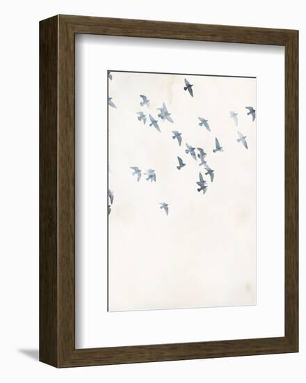 Pigeons Sky-Design Fabrikken-Framed Art Print